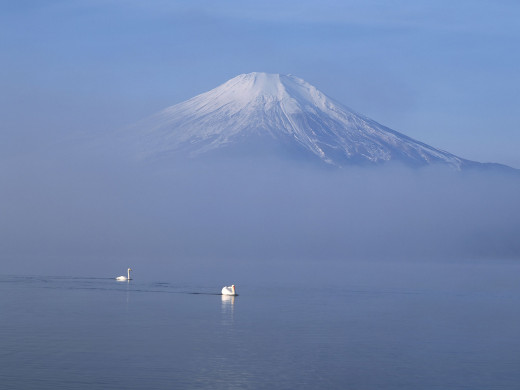 32660 (a): :1600x1200